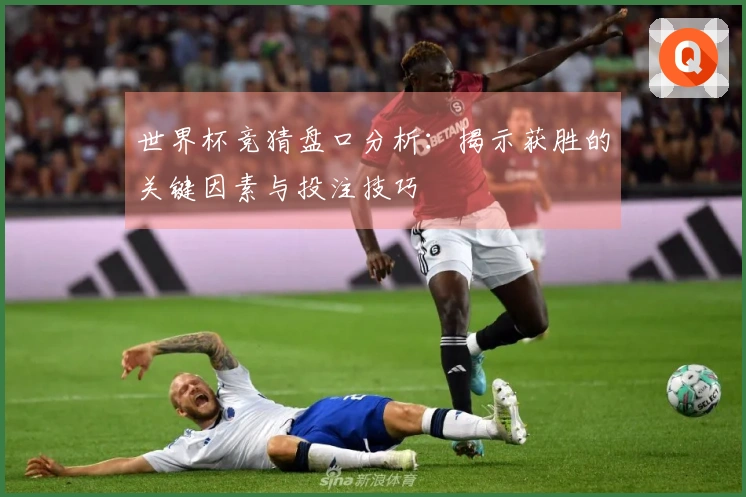 世界杯竞猜盘口分析：揭示获胜的关键因素与投注技巧