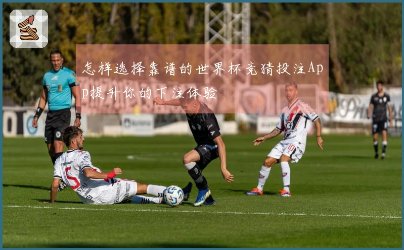 怎样选择靠谱的世界杯竞猜投注App提升你的下注体验