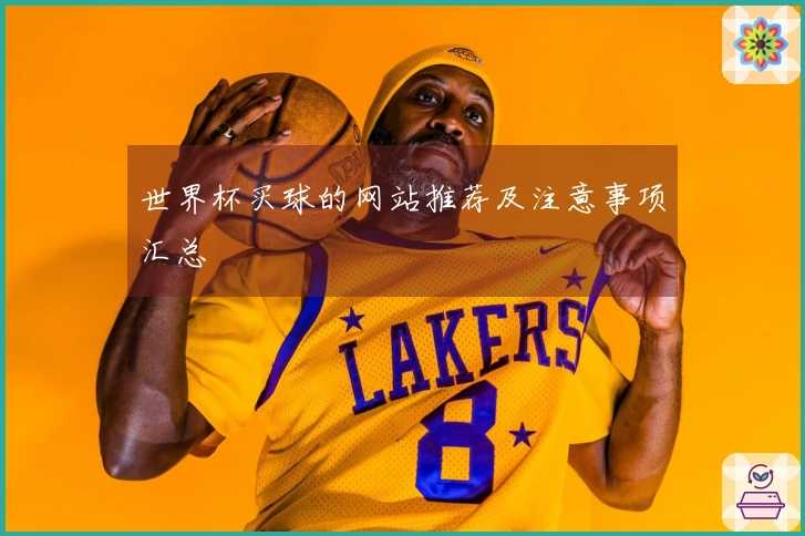 世界杯买球的网站推荐及注意事项汇总