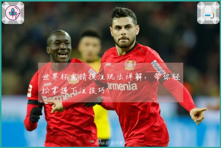 世界杯竞猜投注玩法详解，带你轻松掌握下注技巧