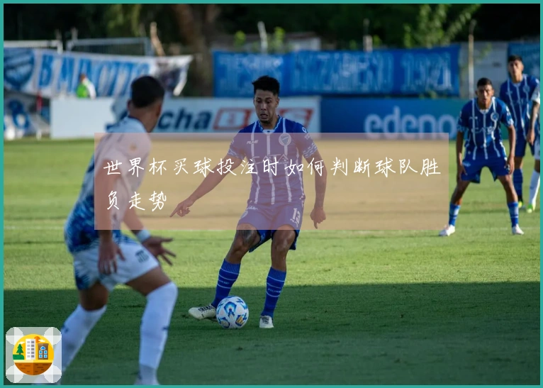 世界杯买球投注时如何判断球队胜负走势