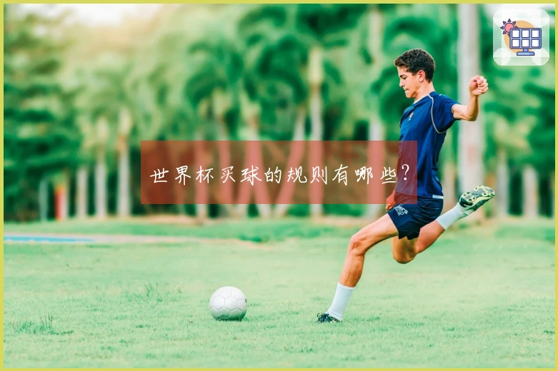 世界杯买球的规则有哪些？
