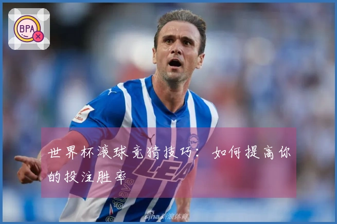 世界杯滚球竞猜技巧：如何提高你的投注胜率