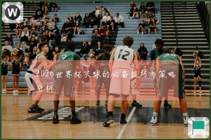 2026世界杯买球的必备技巧与策略分析