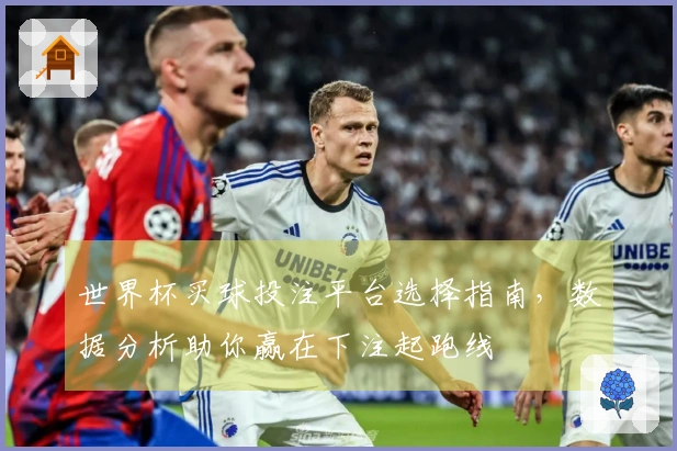 世界杯买球投注平台选择指南，数据分析助你赢在下注起跑线