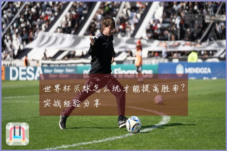 世界杯买球怎么玩才能提高胜率？实战经验分享