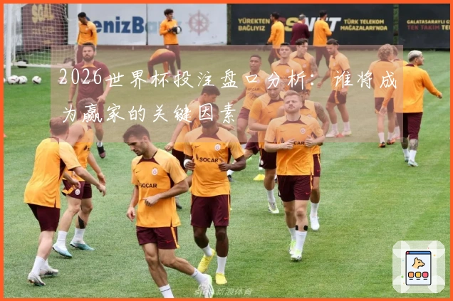 2026世界杯投注盘口分析：谁将成为赢家的关键因素